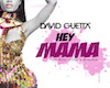Hey MaMa-David Guetta