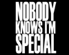 Nobody Knows - Special