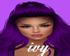 ivy-Qaciolin Purple