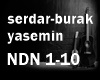 Yasemin serdar-burak