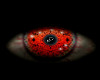 Eyes Red Unisex *K*