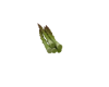 Asparagus