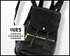v. Leather Backpack