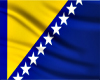 Bosna Hersek - Flag
