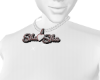 shasha