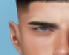 VT Brow
