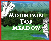 Mountain Top Meadow