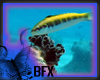 [*]BFX Undersea World