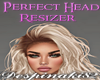 Ds Perfect Head Resizer