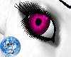 [S]Dk Pink Eye {F}