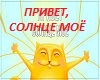 Privet_moe_solnce