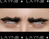 L| Eyebrows MH Black