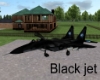 black jet