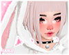 ♡ +ADD hoodie