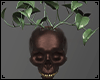 Skull Spine Planter