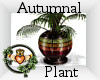 ~QI~ Autumnal Plant
