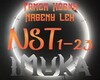 Tamer Hosny Naseny Leh