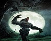 Werewolf vs Vampire Club