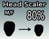 CS SCALER HEAD 80% F