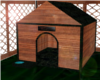 MY pets kennel