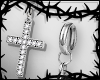 ∆ Zircon Cross