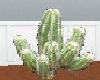 ~LWI~Cactus Plant