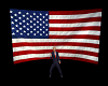 Trig USA Flag Background