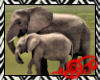 Safari Elephants 2D