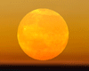 [kyh]moon_orange