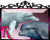 *R* Dolphins Enhancer