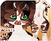 [Pets] Whiskey Furry | Andro