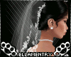 EllaBella Wedding Veil