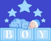 Baby Boy Bed
