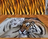 Bangel Tigers