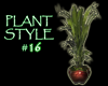(IKY2) PLANT STYLE #16