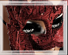 (CC) MasqBall Mask Red