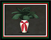 Potted plant w/red bow