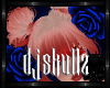 💀⸸|Chica- PlatCupid