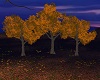 Autumn Fall Trees 1