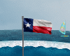 Texas Flag Pole