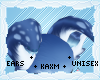 ꨄYuki Earsꨄ