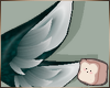 ⊹ Amists Ears V4