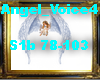 Angel_Voice4