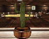 Cactus Plant Barrel Pot