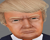 H/Donald Trump Skin