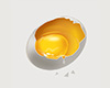 Nk5.egg cutout