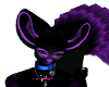 Neon Purple Ears