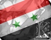 Syria flag (m/f)