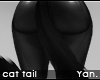 Y: HD cat tail animated