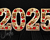 2025 New Year